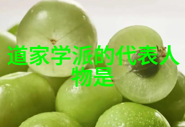 道教经典全览探秘天师之书