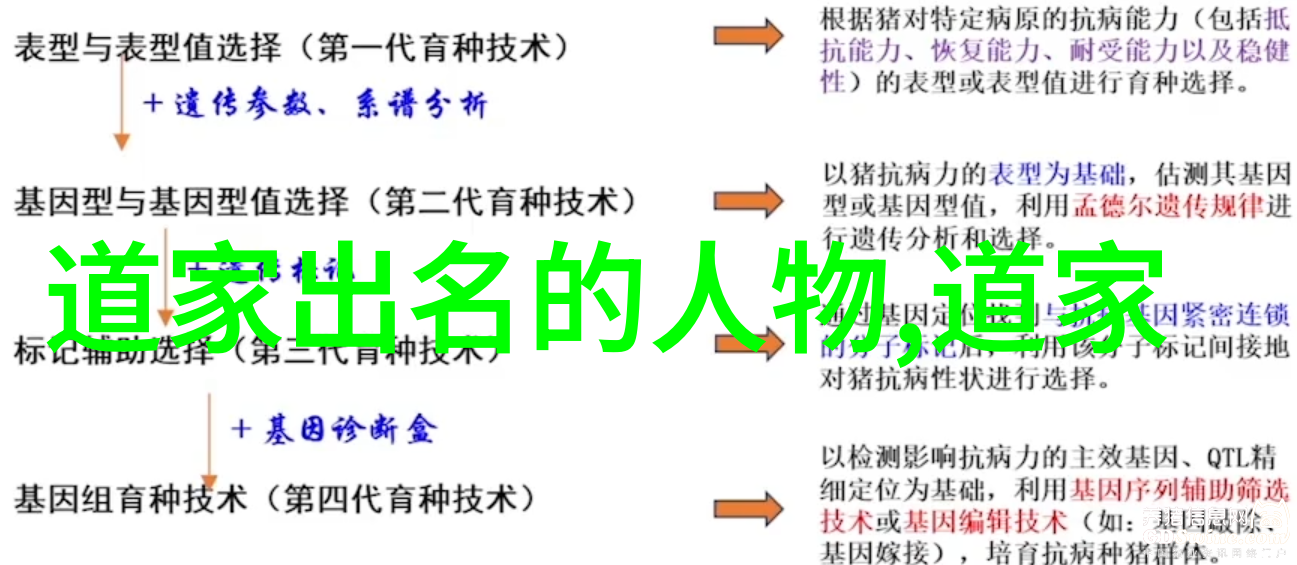 释放内在力量抹去修行中的误区