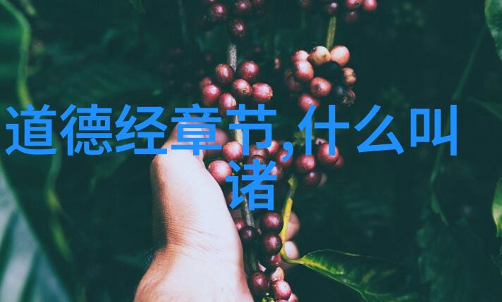 古语简道寻觅传统智慧的精髓