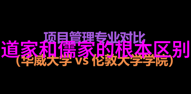 在这个过程中他们遇到了哪些挑战和困难