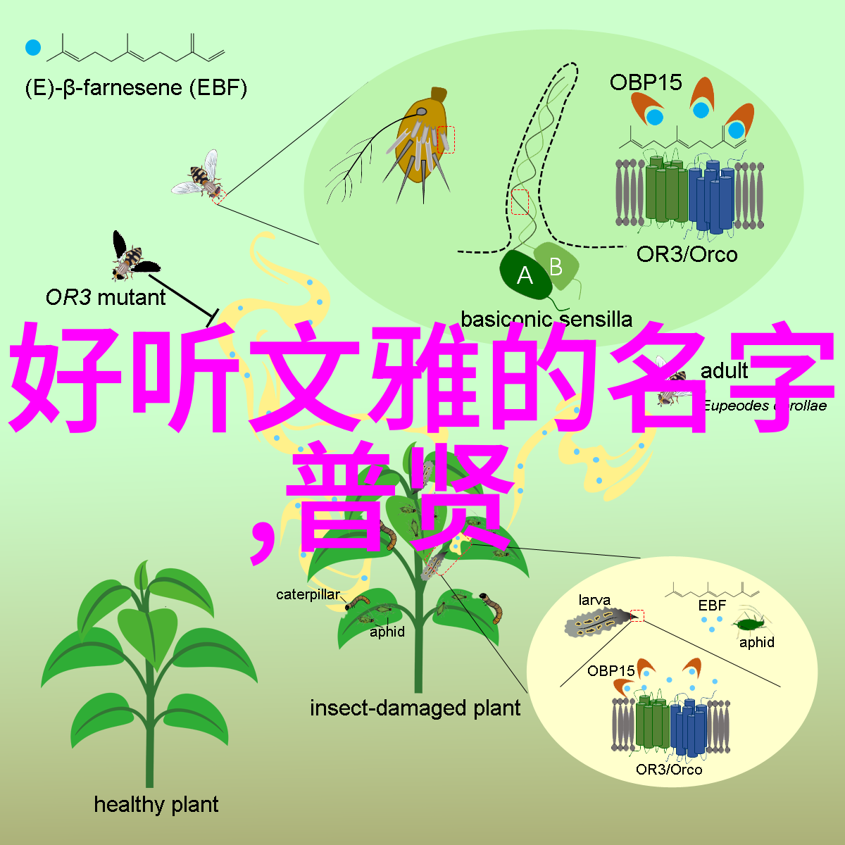 走进历史画卷古代文人墨客怎样通过写作表达自己的思想情感