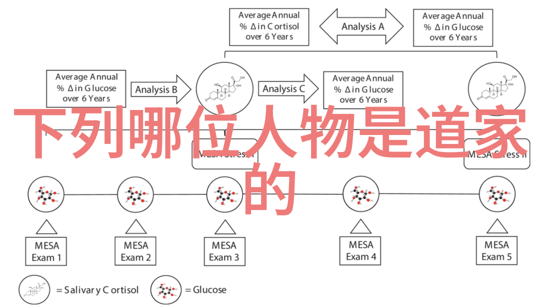 悟在天成的理解智慧的源泉与心灵的契合