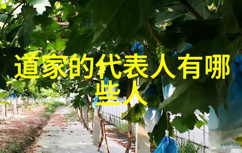 9传媒制片厂免费开启创意之旅