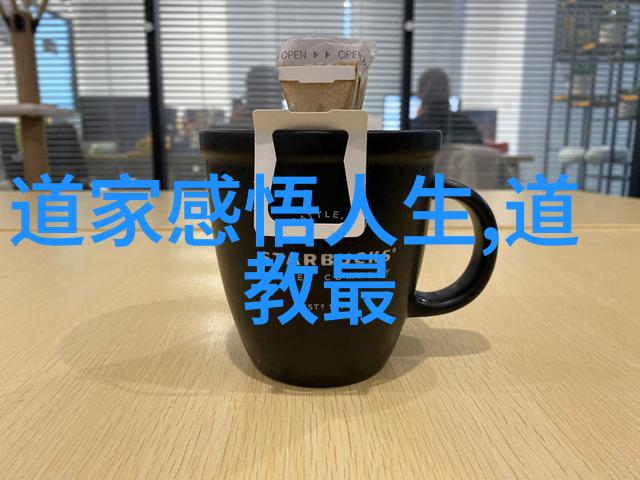 评析大道至简从精妙到深邃的哲学探索