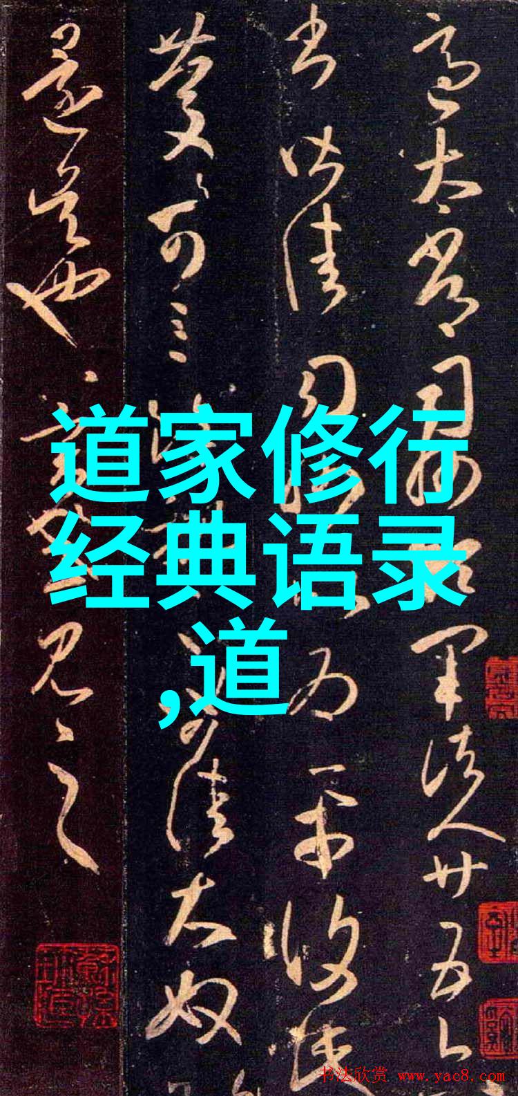 灵魂飞翔跨入开悟之门实现真正自由生活