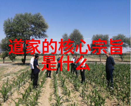 QQ空间分享道德经与网络文化的融合之美