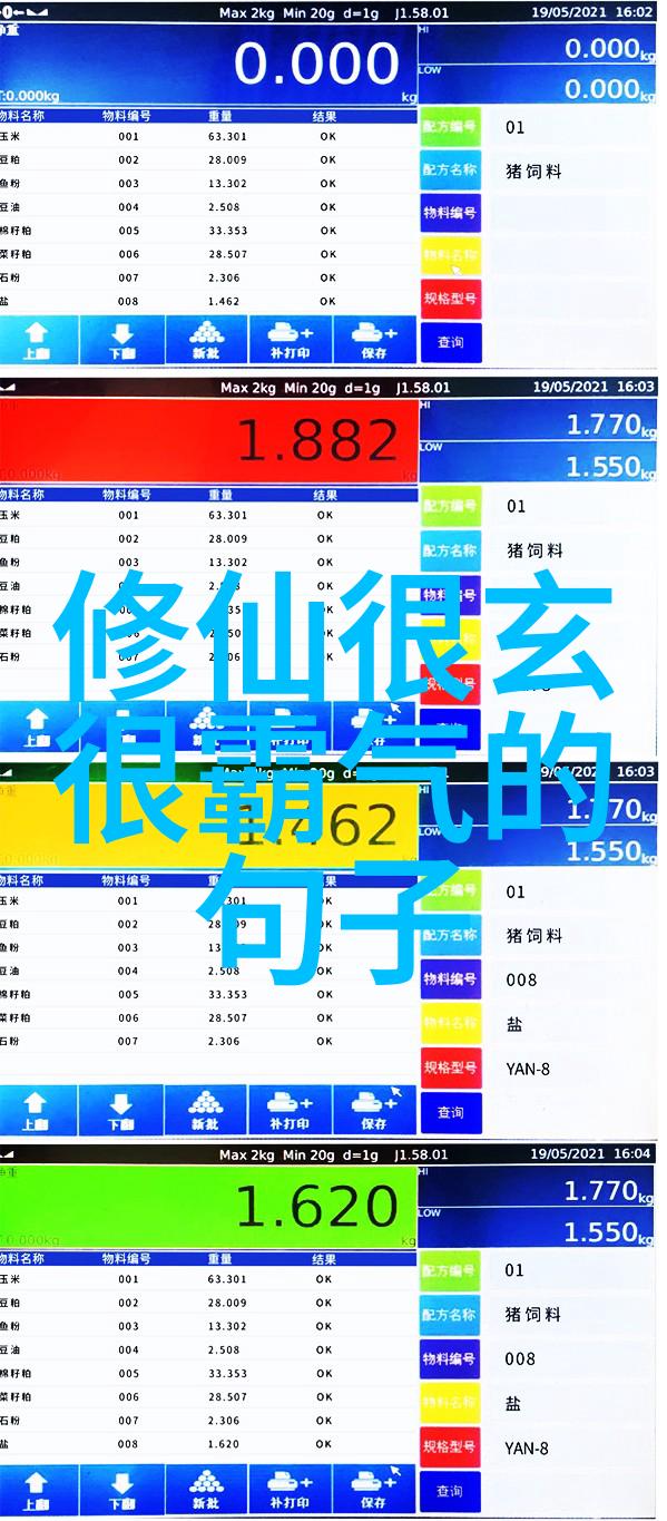 陈抟的太清真人图能否揭示他的内心世界和修行态度