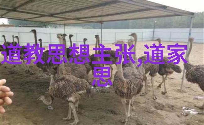 念九字真言后果我轻声诵出这九个字却不曾想它们背后的力量竟让我措手不及