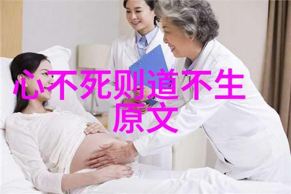 修道分为几个境界-从初学者到高僧的修行之路