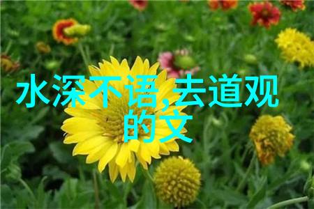 悟道人生的经典句子-启迪心智探索生命哲学的精华