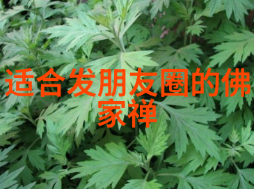 道教天仙大戒出道弟子开天眼的物品征程