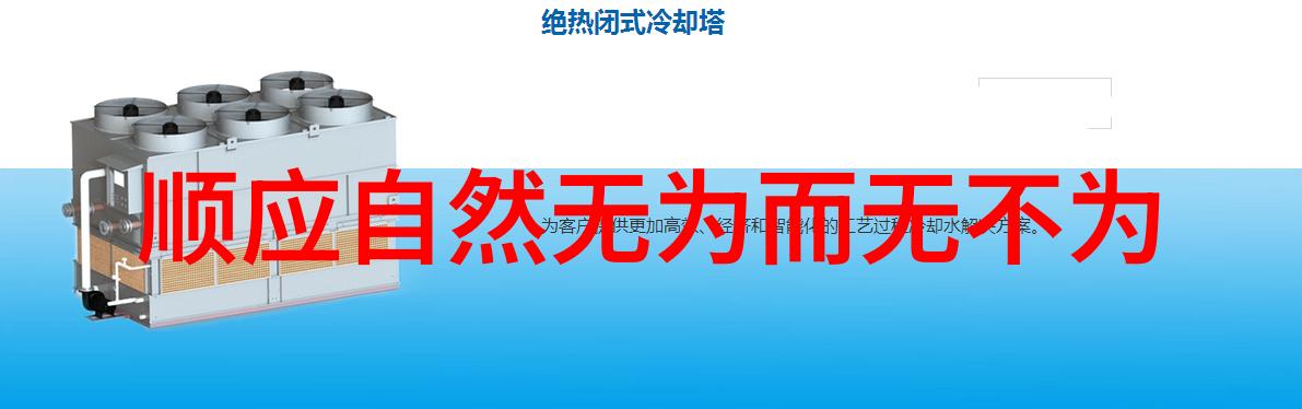 探寻海底宝藏近距离体验扇贝采摘的乐趣