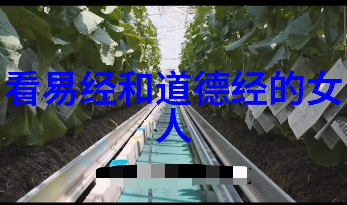 无为与无不为的辩证探究从道家哲学到现代社会的应用