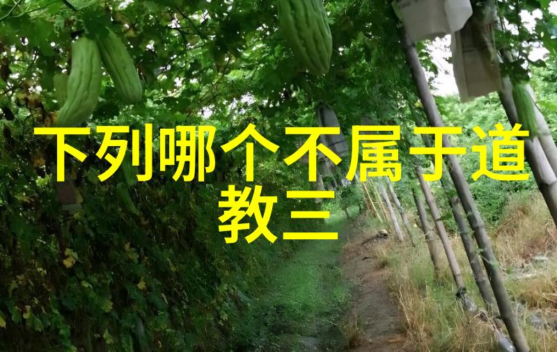 道教创始人是谁老子这位神秘的道教开山之祖