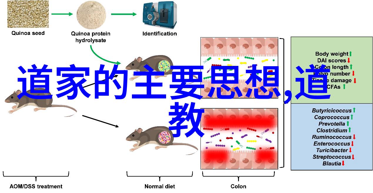 探秘坤巴塞小洞里揭开隐藏在视频背后的神秘世界