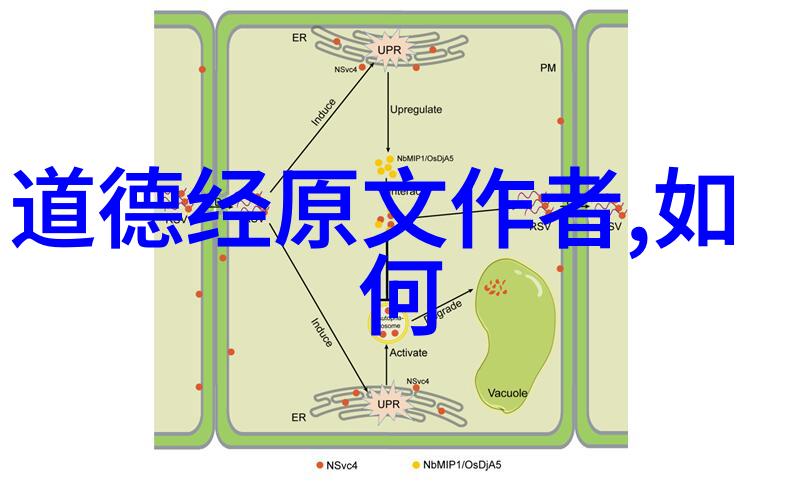 宗教文化-道教主要人物传记黄帝老子与张道陵