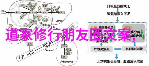 探索内心的神秘寻找自我天赋的秘密之旅