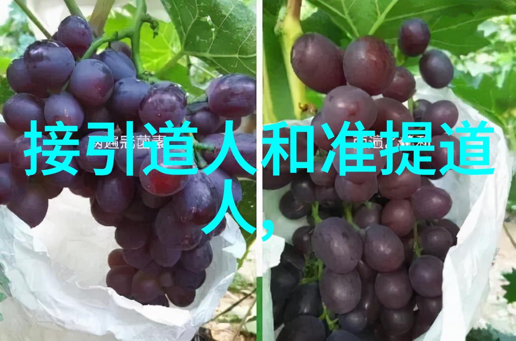 无欲则刚深度解析内心强大的源自清净