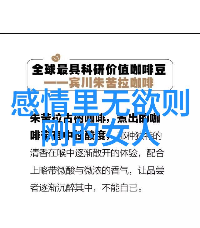 道家传承的智者老子与庄周的哲学探索