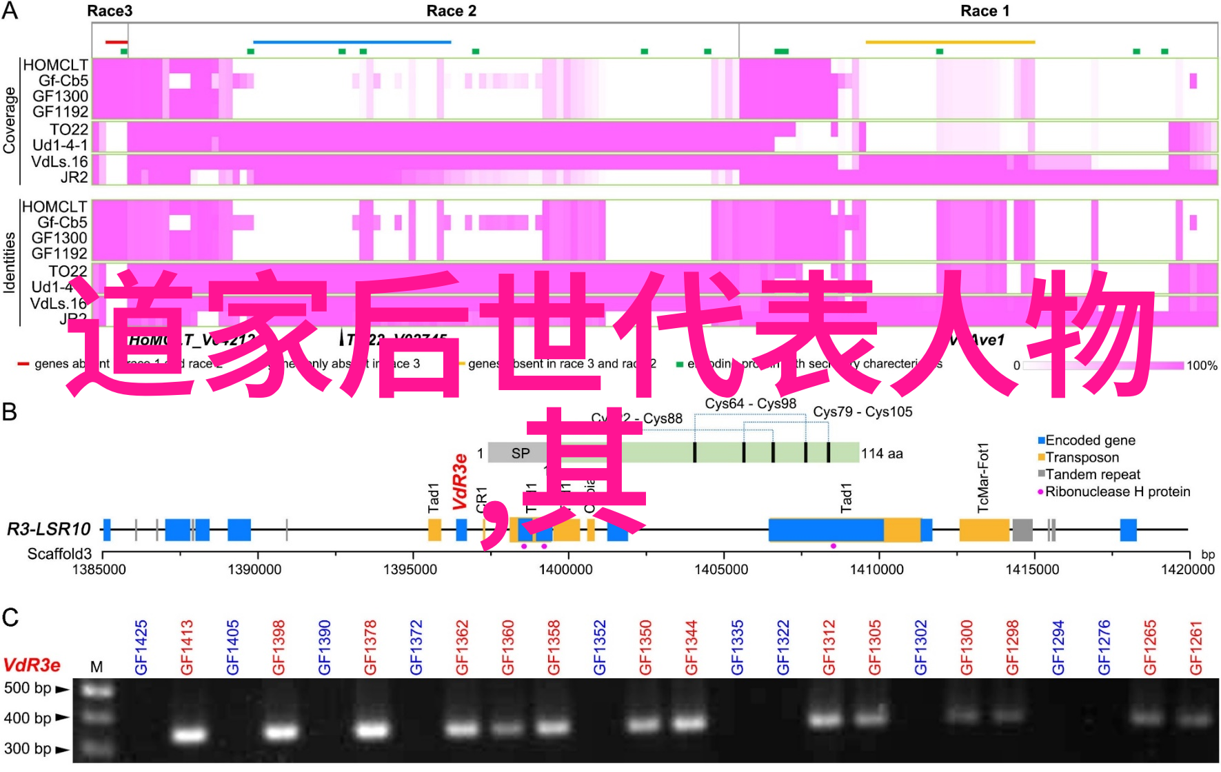 道教四大名山是哪几个-寻访天界探秘道教四大名山的神秘魅力