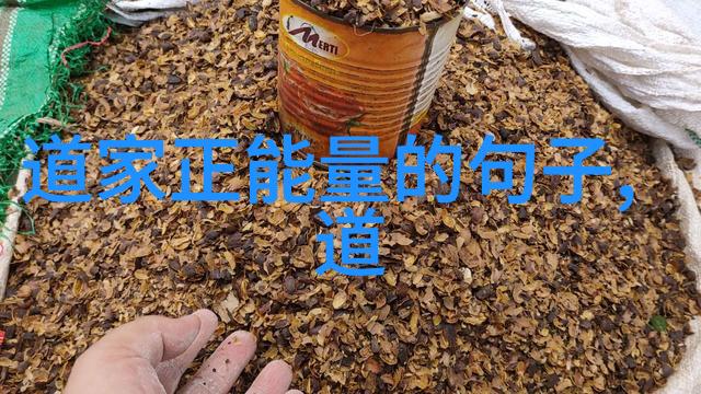 我行其野探索个人自由与社会规范的哲学界限