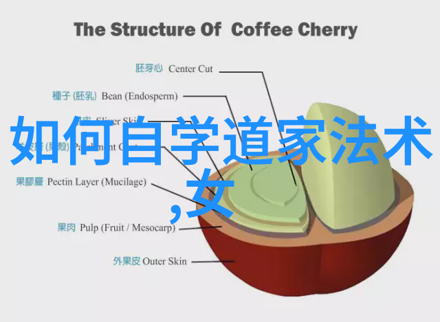 道德经拼音完整版免费探究儒家古典哲学在现代教育中的应用与价值