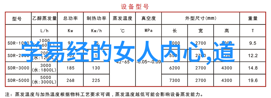 苏家女的迷雾之恋1v5的情缘与烟雨中的秘密