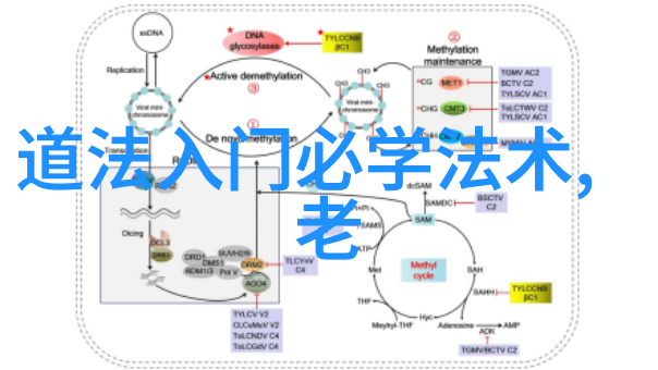 心灵静谧抒情吟风中