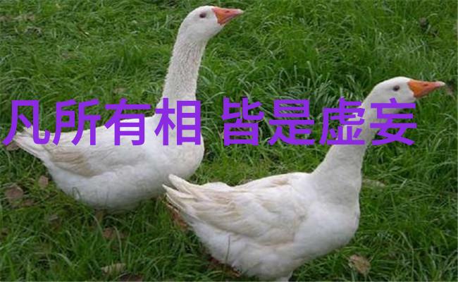 女教师娇喘潮喷抽搐的淫乱午后