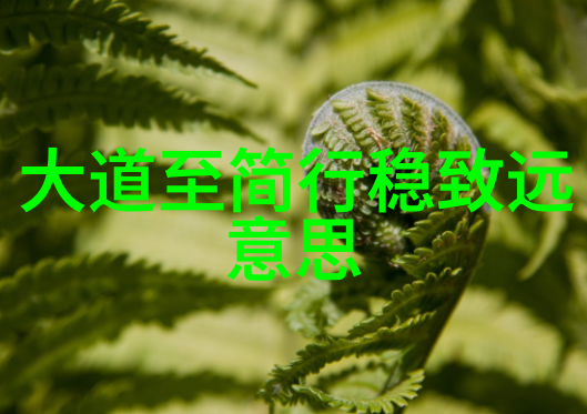 心尖野玫瑰爱情的逆袭