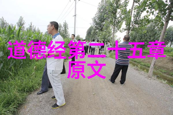 拓跋嵩北朝时期的道士被誉为东海老人