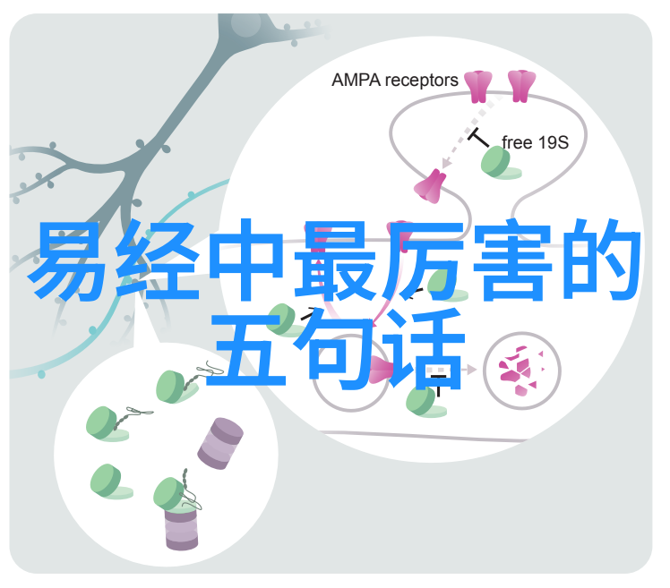 探索张三丰之谜道教创始人背后的真相