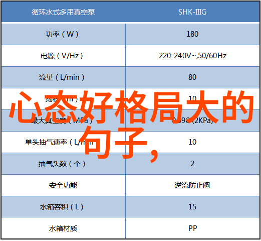 国家养的道家高人隐世修炼与国之栋梁