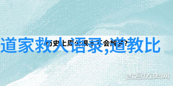 探究道家与儒家的本质差异理念价值观与实践路径的对比