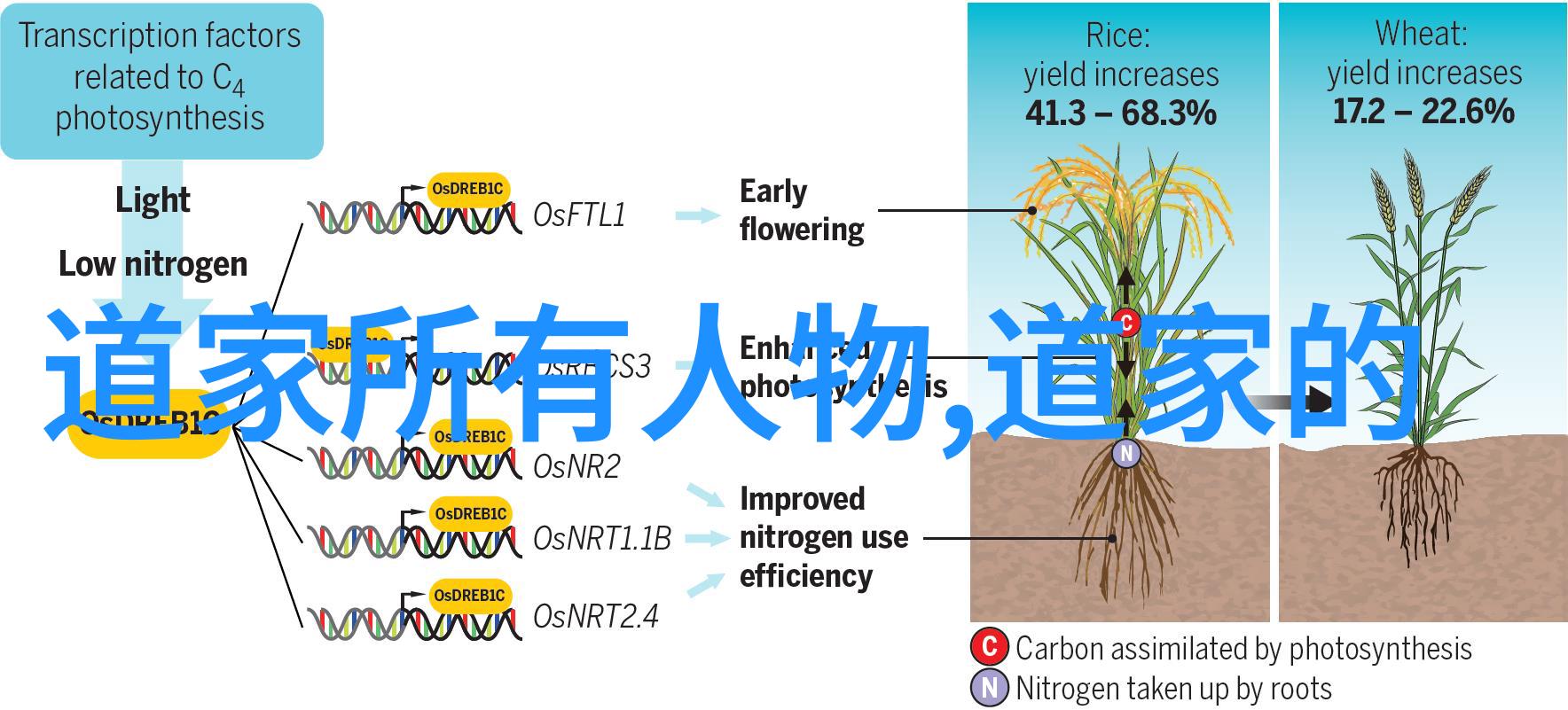 父母让我看他们做家教的日常