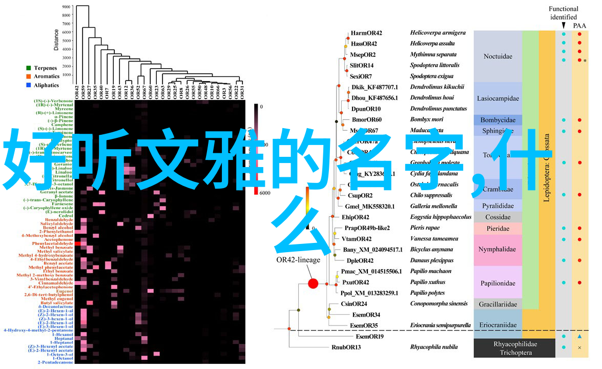 关怀他人的艺术如何培养真正的慰藉力