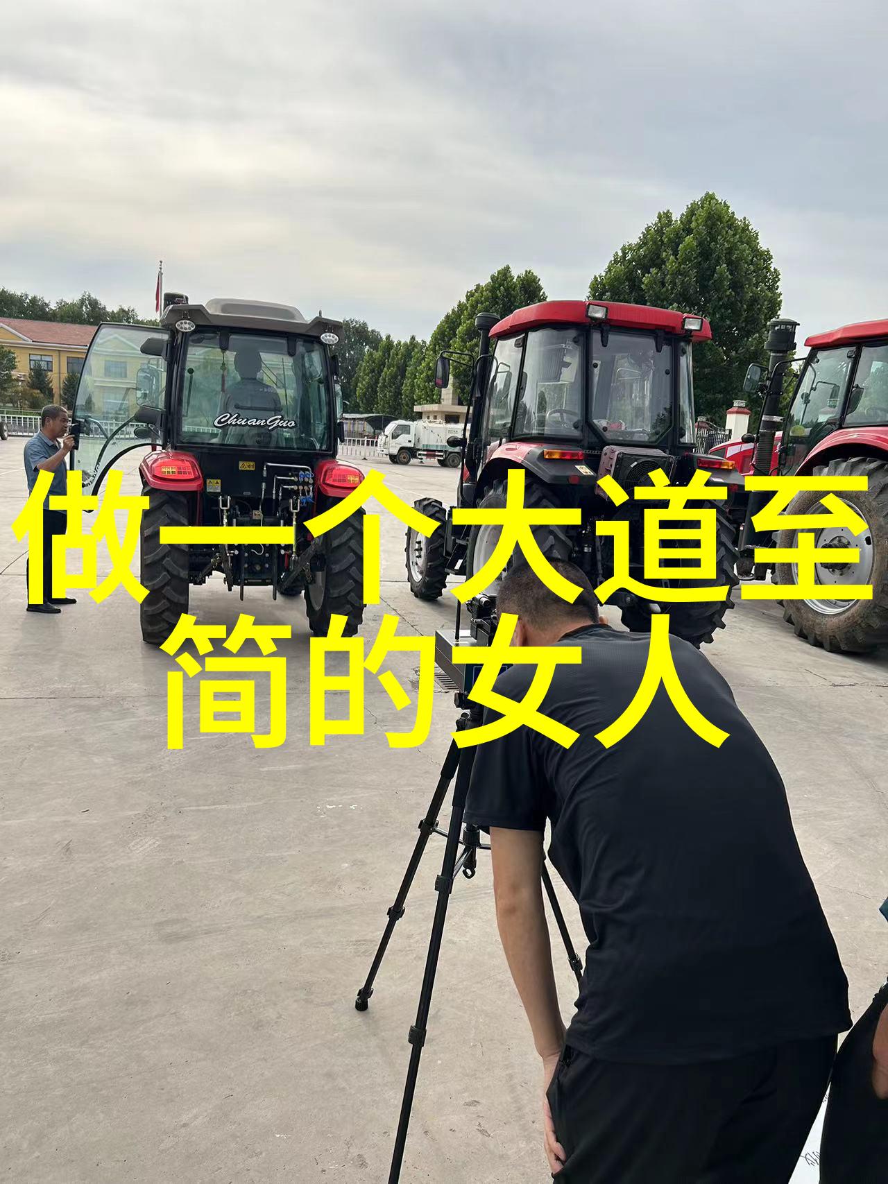 性无为又无不为探究道家哲学中的动与静之辩及其对现代价值观的启示