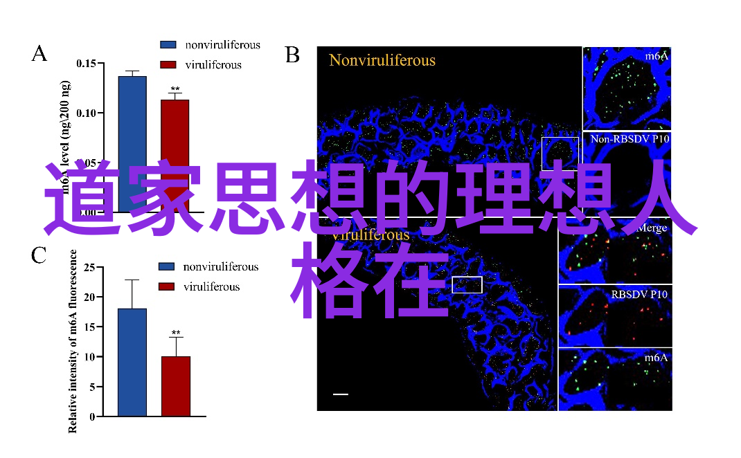 主题我和中国的十二文化故事