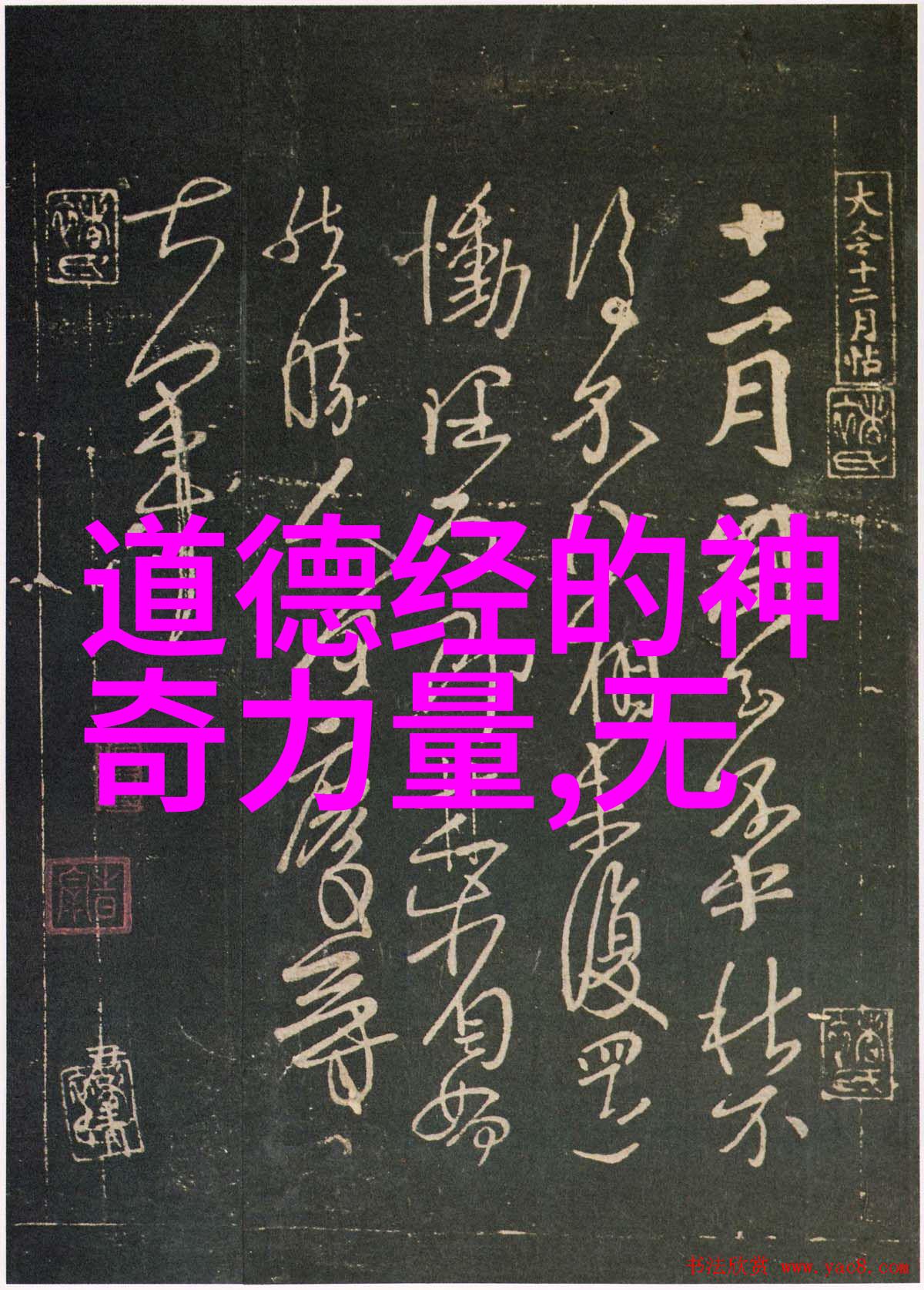 野花日本大全探索五种独特植物