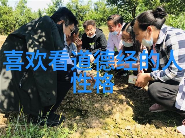 探索无欲之境如何让意志更加坚定与果敢