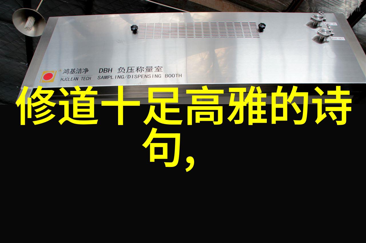 道家两鼻祖探索老子与庄子的哲学思想对后世影响的深度比较研究