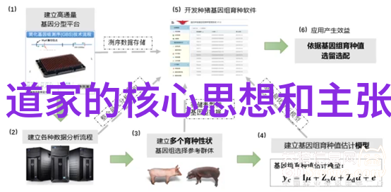 道德经简介揭秘老子智慧的源泉