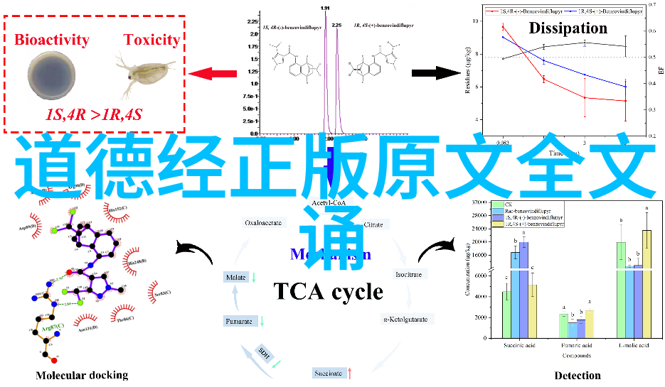 道家著名人物名字我要告诉你一个关于老子和庄子的故事