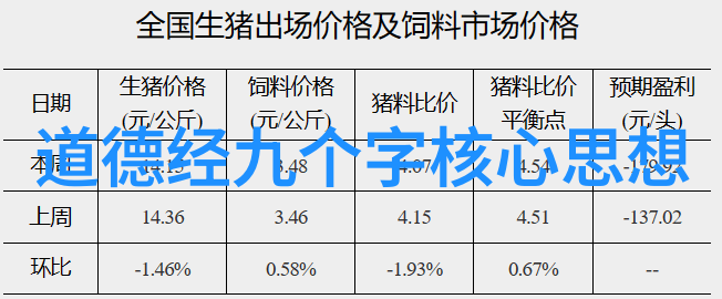 普通人如何学习道术的艺术与技巧修炼内功悟性提升道家哲学