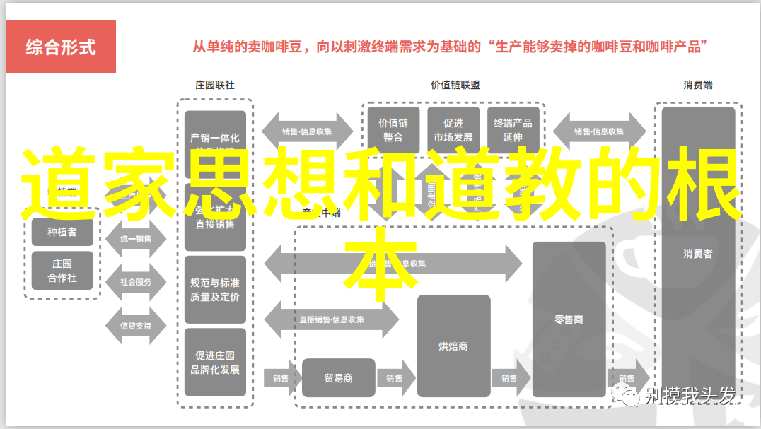 天地不仁以万物为刍狗 理解儒家对道家的批判及其影响至今的文化意义