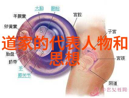 道家智慧解析天地不仁以万物为刍狗及其深远意义