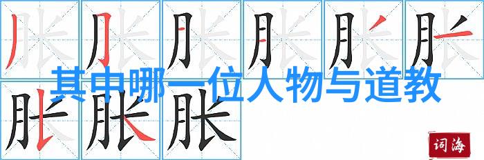 道家八段锦教学视频完整版-轻松学易探索道家八段锦的精髓与实践