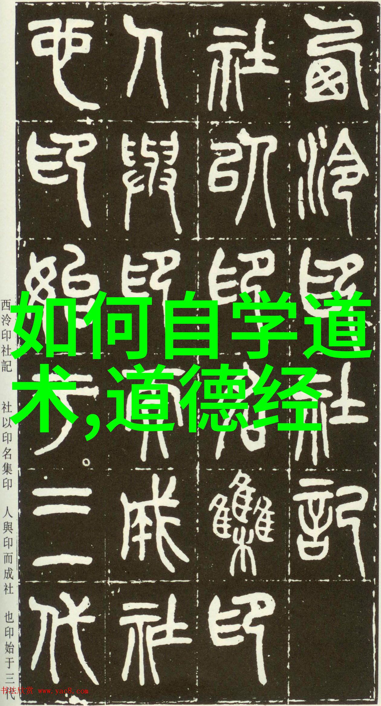 走进古代智者的心灵殿堂试图找到那一句未曾说出口的话