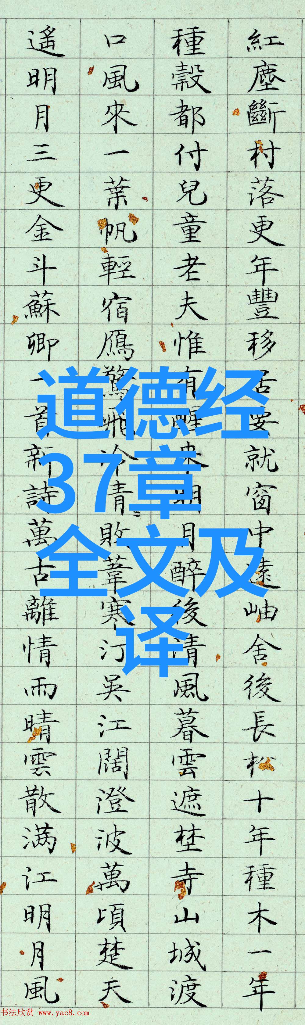 人生是一场修行的感悟句我这辈子最大的收获每一步都是成长的阶梯