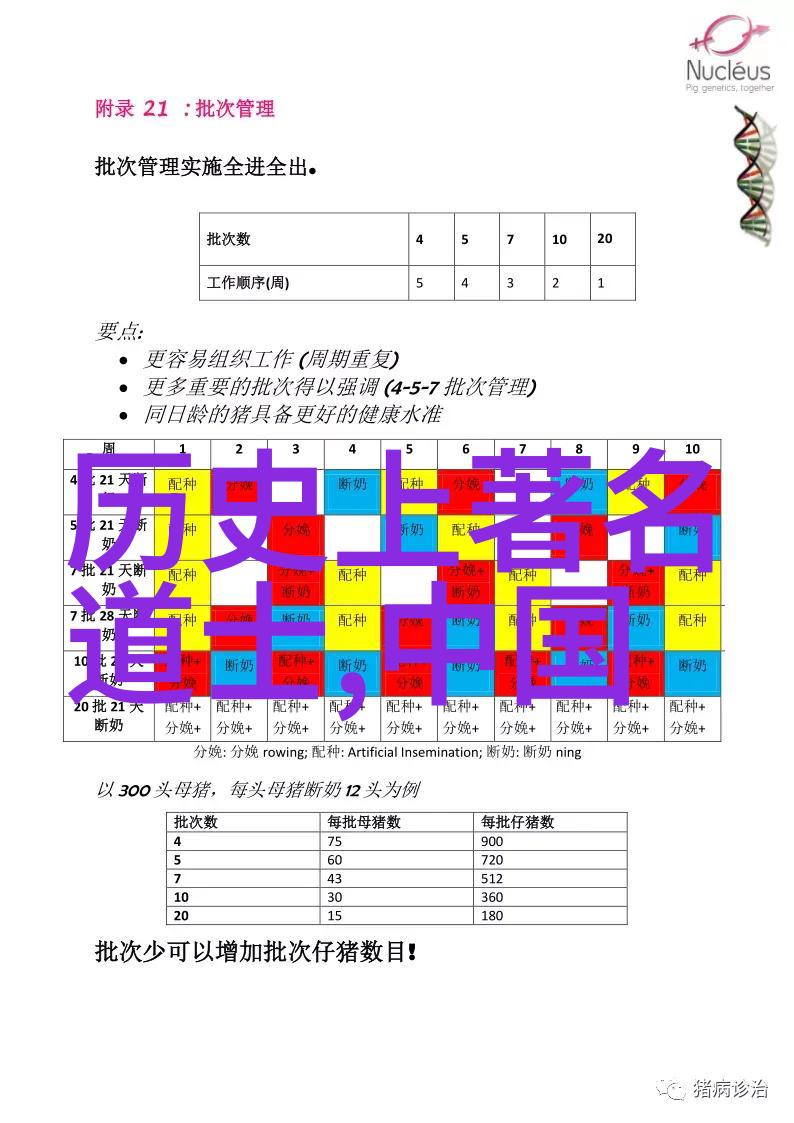 道教四大真人的修炼秘籍